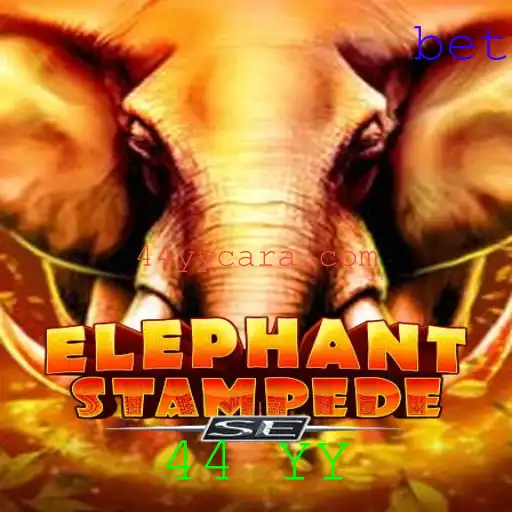 Descubra as Aventuras de 'ElephantStampedeSE'